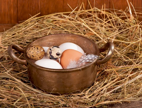 Huevos Sobre Fondo Madera Viejo —  Fotos de Stock