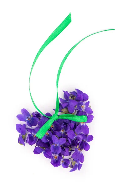 Zielony Liść Kwiaty Fioletowy Fioletowy Odorata Drewna Izolowane Białym Tle — Zdjęcie stockowe