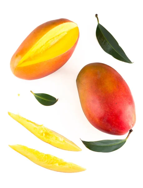 Liść Mango Izolowany Białym Tle — Zdjęcie stockowe