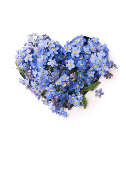 Forget Little Flowers Heart Shape Isolated White — Stock Photo, Image