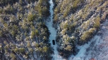 Bir araba, kır yolundaki kış ormanından geçiyor. İnsansız hava aracından en iyi görüntü