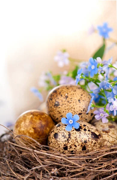 Pasen Samenstelling Van Paaseieren Het Nest Oude Houten Achtergrond Retro — Stockfoto