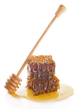 Kara arka planda rüzgarda uçuşan karahindiba siluetleri.