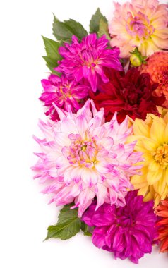 Çiçek desenli yıldız beyaz bir arkaplanda izole