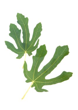 Çay fincanı, yeşil ekose, sandalyede kitaplar. Ev içi vintage dec ile