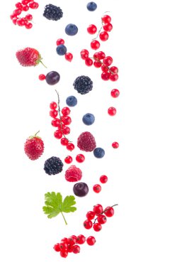 Böğürtlen karışımı beyaz bir arkaplanda izole.