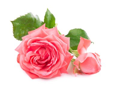 Balık şekilli morina yağı kapsülleri, Omega 3, D vitamini.