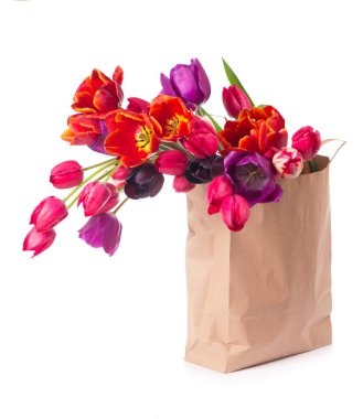 Beyaz arka planda kağıt bir çantada renkli laleler