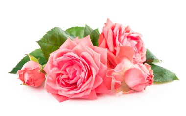 Balık şekilli morina yağı kapsülleri, Omega 3, D vitamini.