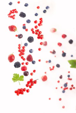 Böğürtlen karışımı beyaz bir arkaplanda izole.