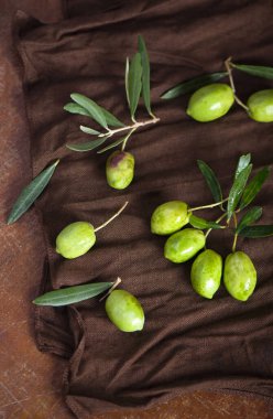 Siyah arkaplanda zeytin yağı ve zeytin dalı