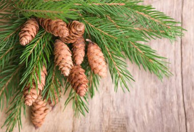 Noel dekoratif sade çerçevesi ladin dalları ve koyu ahşap arka planda koniler