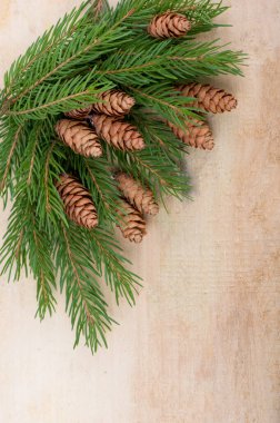 Noel dekoratif sade çerçevesi ladin dalları ve koyu ahşap arka planda koniler