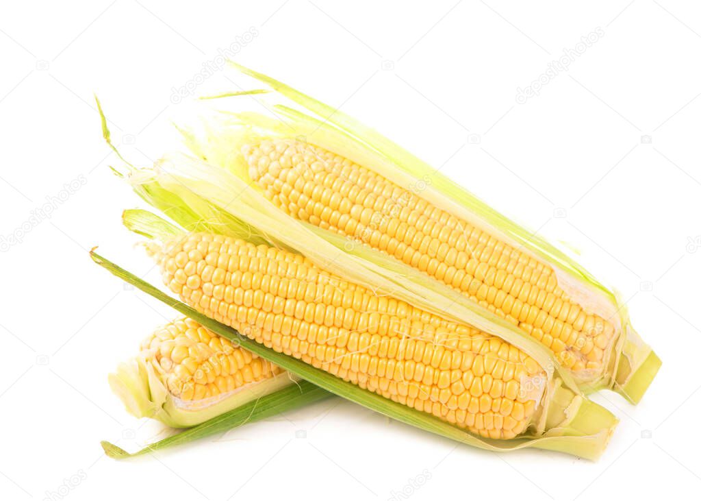raw corn with green leaves on a white background.