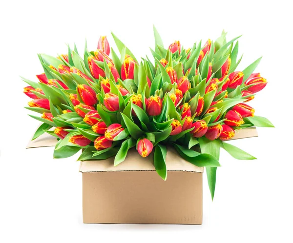 Groot Boeket Van Rode Tulpen Een Mand Een Witte Achtergrond — Stockfoto