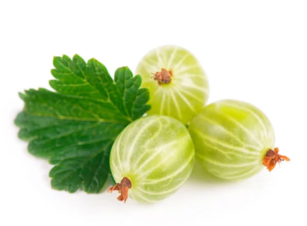 Green Gooseberry Fruits Leaf White — Stock Photo, Image
