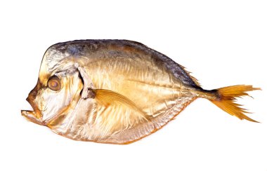 kurutulmuş balık beyaz bir arka plan üzerinde izole