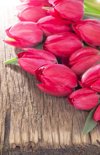 Rosa Flores Tulipanes Frescos Sobre Fondo Madera Gris — Foto de Stock