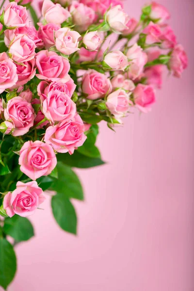 Rózsaszín Alapon Rózsaszín Rózsa Csokor — Stock Fotó
