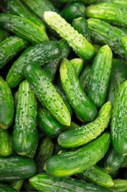 Arka planda bir sürü genç salatalık