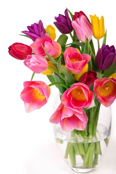 Muchos Hermosos Tulipanes Coloridos Con Hojas Aisladas — Foto de Stock