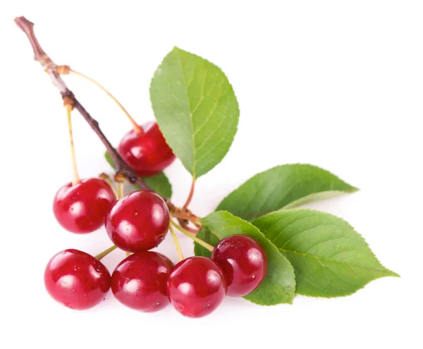 Cerise Rouge Fraîche Mûre Isolée Sur Fond Blanc Avec Chemin — Photo