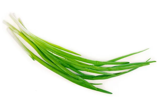 Spring Onions Rich Vitamins Minerals Natural Compound Green Onions Spring —  Fotos de Stock