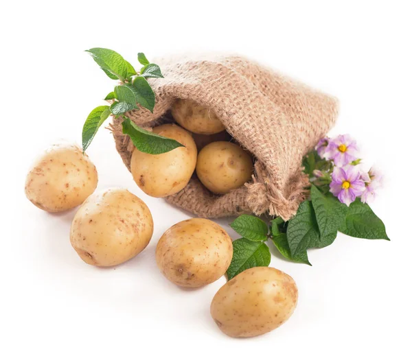 Batatas Cruas Saco Serapilheira Isolado Sobre Fundo Branco — Fotografia de Stock