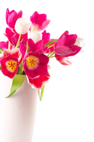 Viele Schöne Tulpen Mit Blättern Isoliert Foto Mit Frischen Frühlingsblumen — Stockfoto