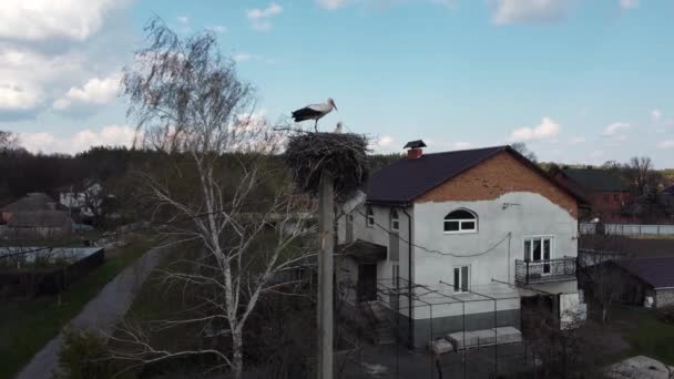Die Störche Sind Luftaufnahme Von Storchennest Und Landhaus Das Grundstück — Stockvideo