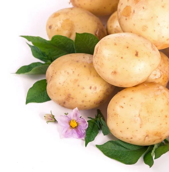 Batatas Isoladas Sobre Fundo Branco — Fotografia de Stock