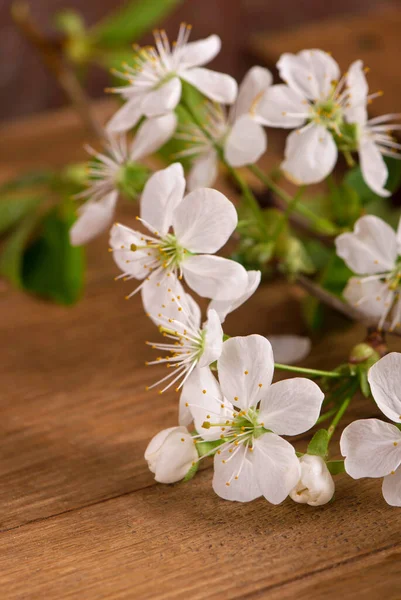 Image Printemps Fleurs Cerisier Blanc Arbre Sur Bois Image Filtrée — Photo