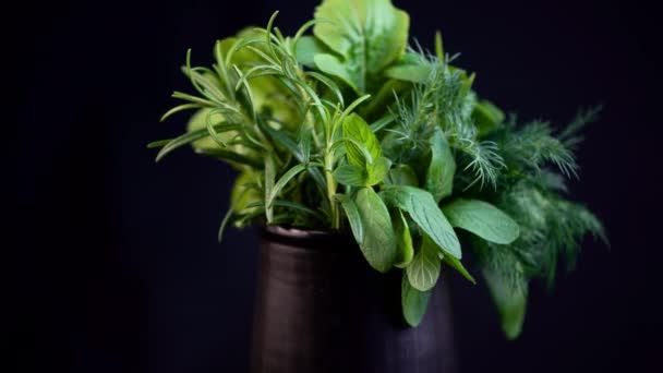 Fresh Spicy Herbs Mint Rosemary Dill Arugula Spinach Black Cup — Stock Video