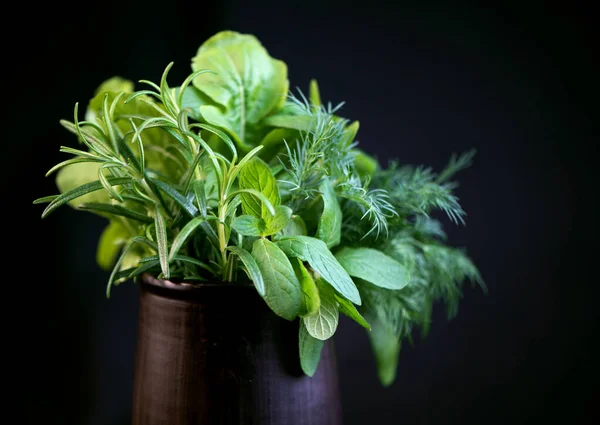 Färska Kryddiga Örter Mynta Rosmarin Dill Ruccola Och Spenat Svart — Stockfoto