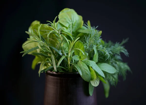 Färska Kryddiga Örter Mynta Rosmarin Dill Ruccola Och Spenat Svart — Stockfoto