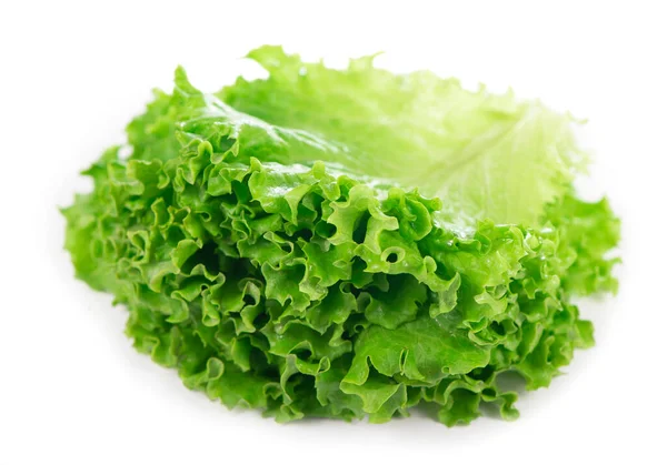 Prospețime Salată Verde Frunze Fundal Alb — Fotografie, imagine de stoc
