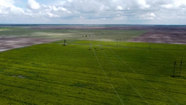 Högspänningsstolpar och kablar i det ukrainska jordbrukslandskapet med veteodling en solig dag under vårsäsongen. — Stockvideo