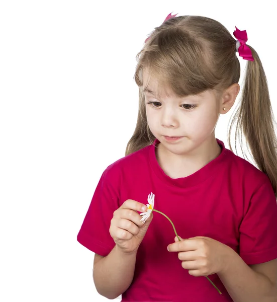 Little blond girl with a bouquet of camomiles — Stock Photo, Image