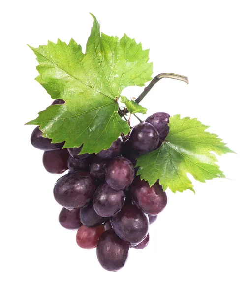 Aglomerado de uvas com folhas isoladas — Fotografia de Stock