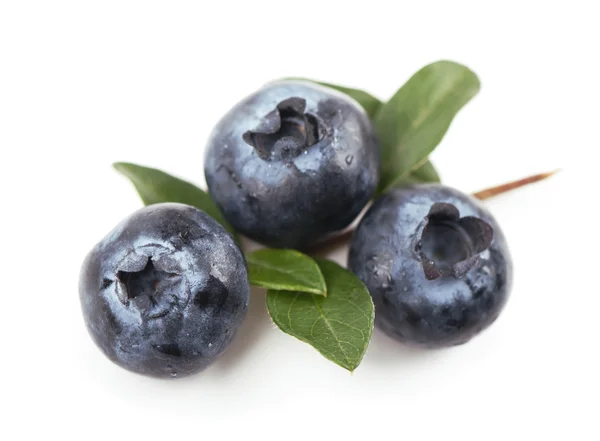 Blaubeeren. isoliert weiß — Stockfoto