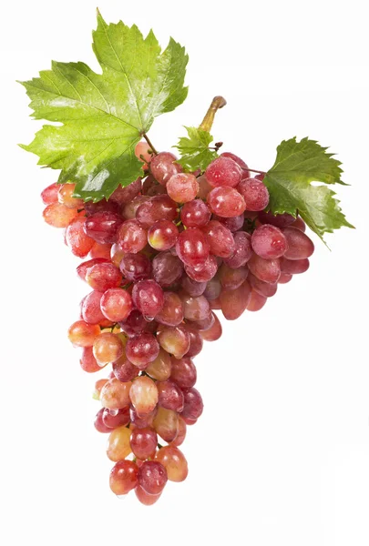 Grapes bunch — Stock Photo, Image