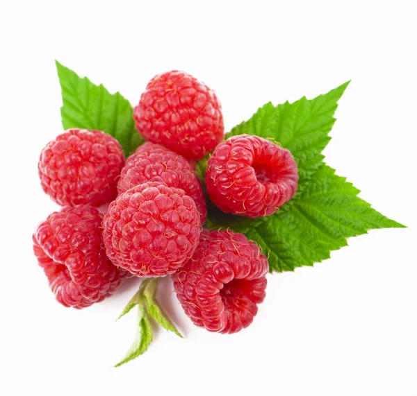 Macro of red raspberry — Stock Photo, Image