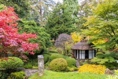 CHESHIRE, İngiltere - 14 Ekim 2020: Tatton Park, İngiltere 'de Çay Evi ile Japon Bahçesi' nin manzaralı köşesi.