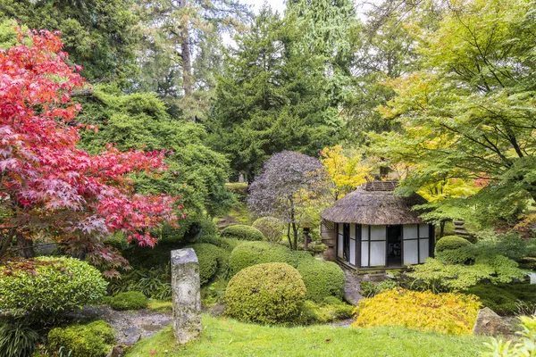 CHESHIRE, İngiltere - 14 Ekim 2020: Tatton Park, İngiltere 'de Çay Evi ile Japon Bahçesi' nin manzaralı köşesi.