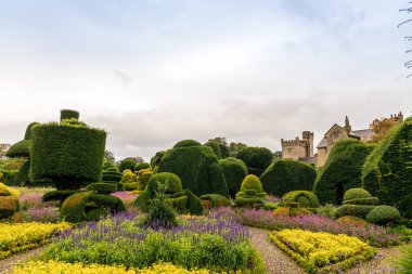 CUMBRIA, ENGLAND - 3 Ekim 2019: Dünyanın en eski ağaç parkı Cumbria, İngiltere 'deki Levens Hall' da fantastik şekilli bitkilerle.