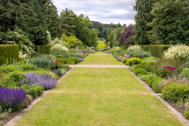 RIPON, NORTH YORKSHIRE IN UK - JUNE 24, 2021: Long straight herbaceous borders at Newby Hall near Ripon. clipart