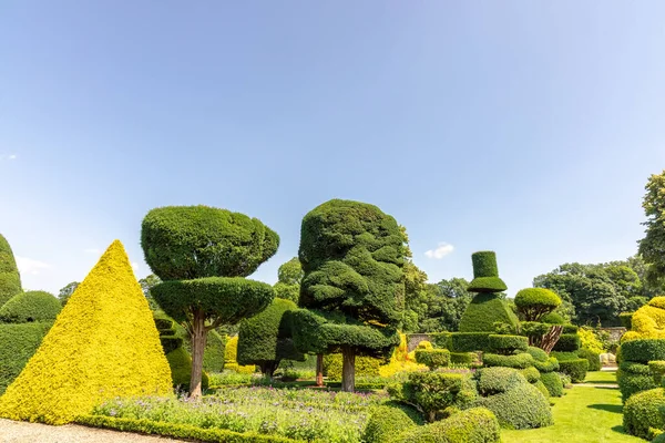 Plantas Forma Fantástica Parque Topiario Más Antiguo Del Mundo Levens — Foto de Stock