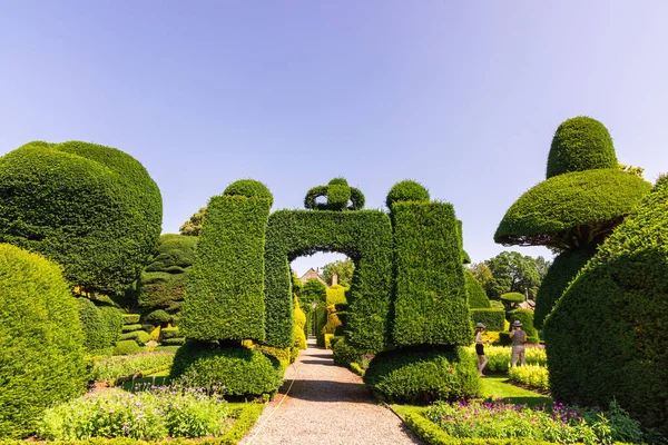 Fantastiche Piante Nel Parco Topiario Più Antico Del Mondo Levens — Foto Stock