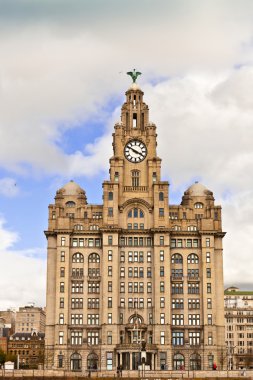 Liverpool, İngiltere'de tarihi Liver Building.