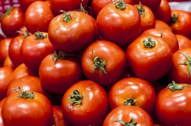 Çiftçilerin piyasa domates ekran